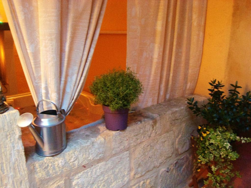 Bed And Breakfast Au Soleil Marsillargues Exterior photo