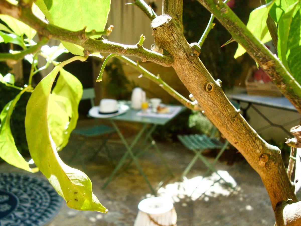 Bed And Breakfast Au Soleil Marsillargues Exterior photo